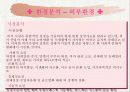 T.G.I 마케팅 전략 분석 및 수립 13페이지