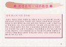 T.G.I 마케팅 전략 분석 및 수립 20페이지