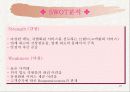 T.G.I 마케팅 전략 분석 및 수립 21페이지