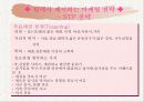 T.G.I 마케팅 전략 분석 및 수립 27페이지