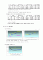 로만손시계의 기업철저분석 10페이지