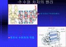 슈퍼차저와터보차저 5페이지