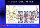 슈퍼차저와터보차저 15페이지