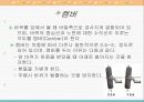 조향장치 18페이지