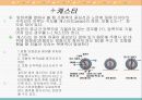 조향장치 21페이지