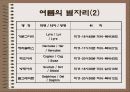 별자리이야기 10페이지