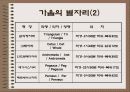 별자리이야기 12페이지
