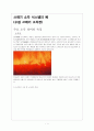 쓰레기 소각 시스템 1페이지