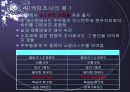 마케팅 조사 3페이지
