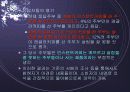 마케팅 조사 4페이지
