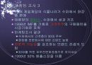 마케팅 조사 6페이지