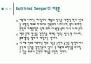 Gottfried Semper에 관한 조사 7페이지