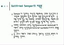 Gottfried Semper에 관한 조사 8페이지