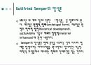 Gottfried Semper에 관한 조사 9페이지