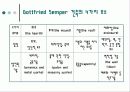 Gottfried Semper에 관한 조사 11페이지