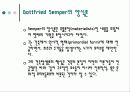 Gottfried Semper에 관한 조사 12페이지