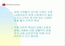 LG에어컨 (WHISEN)에 대한 마케팅 전략 5페이지