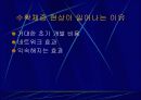 디지털 경제의 특성 10페이지