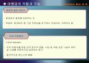 호텔업무 학습지도 년간계획 10페이지