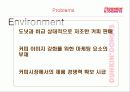 던킨도너츠마케팅 전략 13페이지