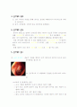 중이염에 대하여 2페이지