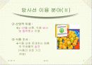 방사선 5페이지