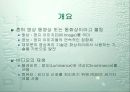 비디오 3페이지