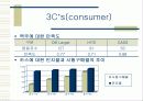 CASS 마케팅 분석 10페이지