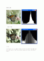 히스토그램의 평활화-Histogram equalize 15페이지