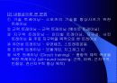 트레이닝방법론 3페이지