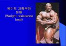 트레이닝방법론 4페이지