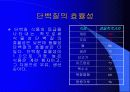 트레이닝방법론 15페이지