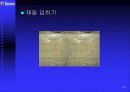 3차원 그래픽스 산업에 대한 조사와 이해 35페이지