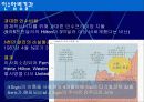 United 항공사의 다각화 실패- 경영 전략 발표 7페이지