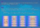 CBD(Component-Based Development) 21페이지