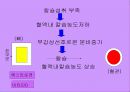 골다공증 분석-예방 및 치료 8페이지