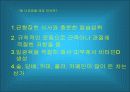 골다공증 분석-예방 및 치료 13페이지
