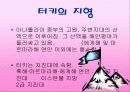 터키에 관한 완전 분석-사회,경제,문화 및 정치 5페이지
