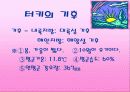 터키에 관한 완전 분석-사회,경제,문화 및 정치 6페이지