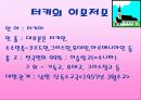 터키에 관한 완전 분석-사회,경제,문화 및 정치 8페이지