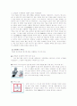 T.G.I.F(Thanks Goodness It`s Friday`s) 12페이지
