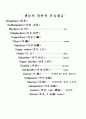 식물플랑크톤의 분류기준과 특징 3페이지