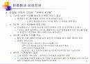 비교분석-Samsung과 Nokia의 비교 5페이지