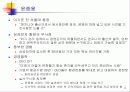 비교분석-Samsung과 Nokia의 비교 6페이지