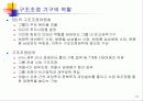 비교분석-Samsung과 Nokia의 비교 12페이지