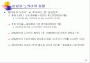 비교분석-Samsung과 Nokia의 비교 20페이지