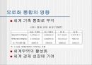유로화 출범이 미치는 영향과 한국의 대응방안 5페이지