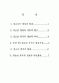 청소년 복지의 개념과 특성 2페이지