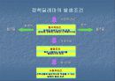 의사결정의 모든것 54페이지