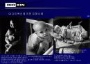21세기  전세계 뒤덮는 환경호르몬 공포- 다이옥신 (Dioxin) 3페이지